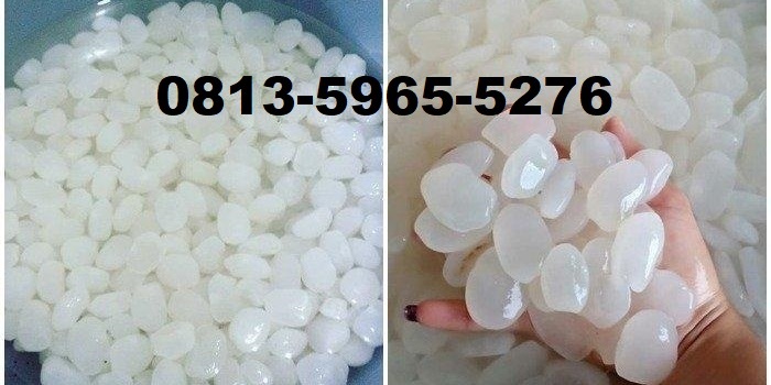 Jual Grosir Kolang kaling Kualitas Super Caruban Madiun Jawa Timur